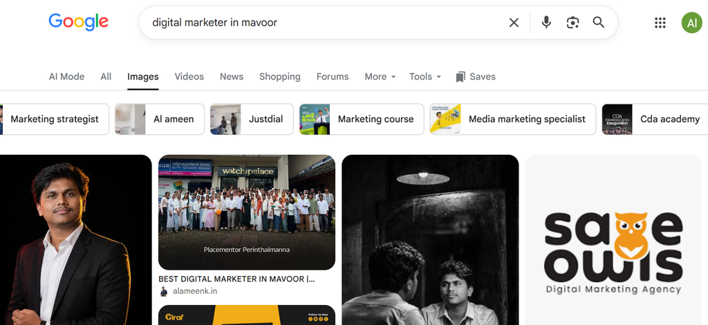 Future of Search Visibility 